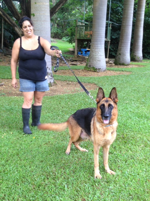 German Shepherds Hawaii | Alpha K-9 